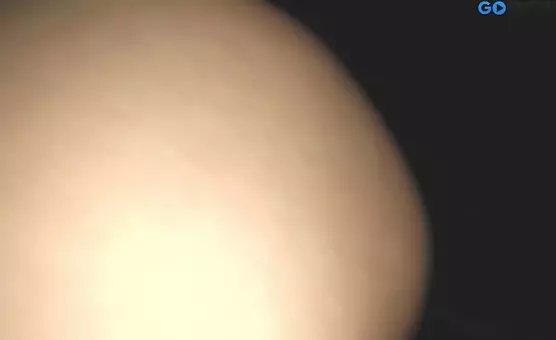 Couple Fingering and Buttfucking